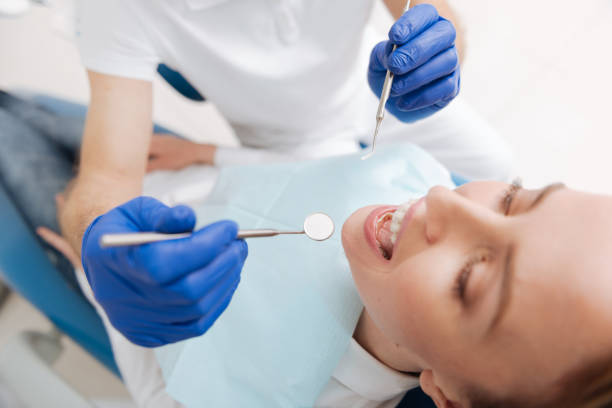 Best Dental Exams and Cleanings  in Lealman, FL